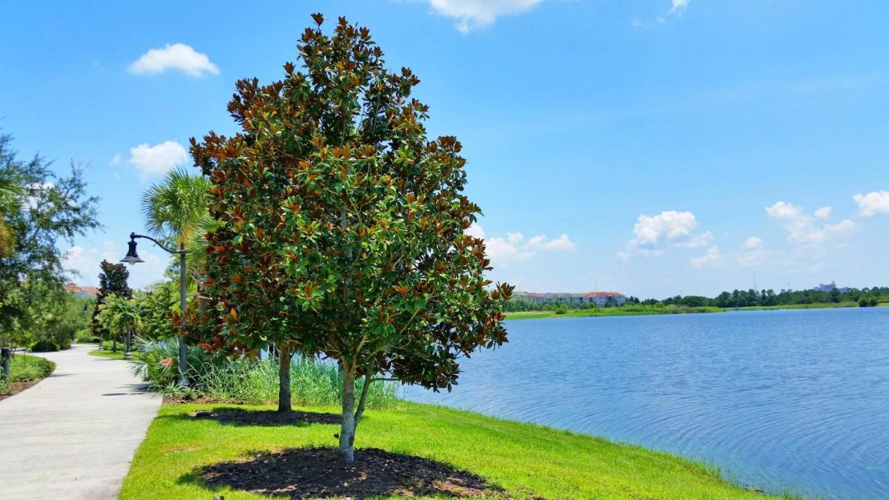אורלנדו Lovely Vista Cay Resort Condo, Near Clubhousepool מראה חיצוני תמונה